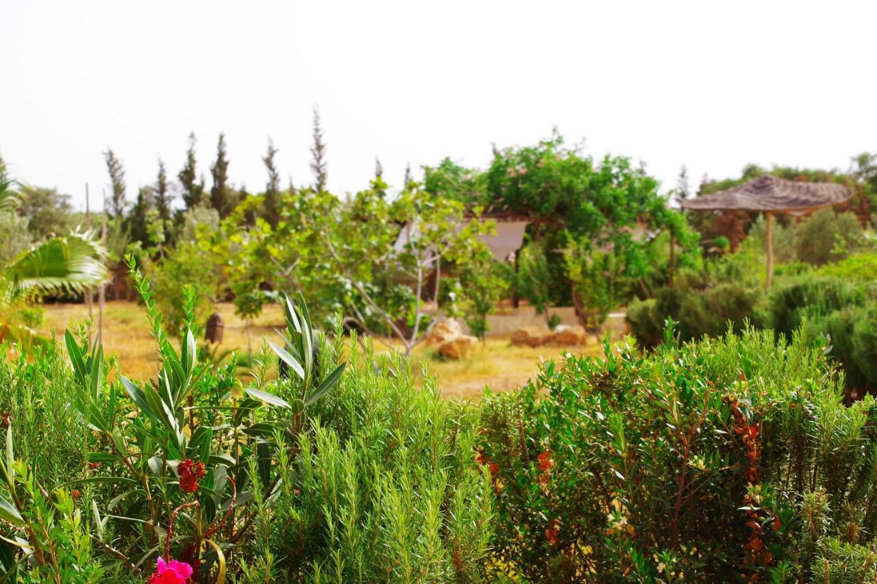 Artgana Lodge Essaouira Exteriör bild