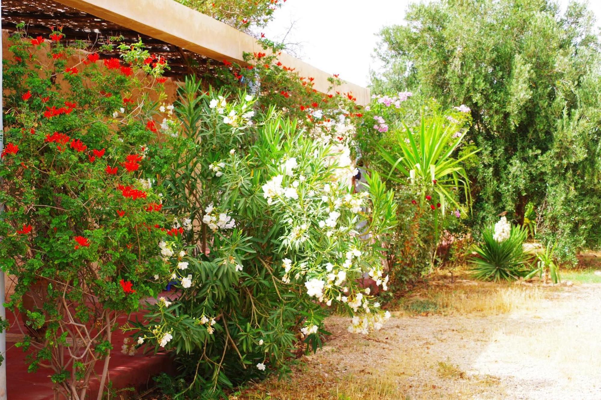 Artgana Lodge Essaouira Exteriör bild