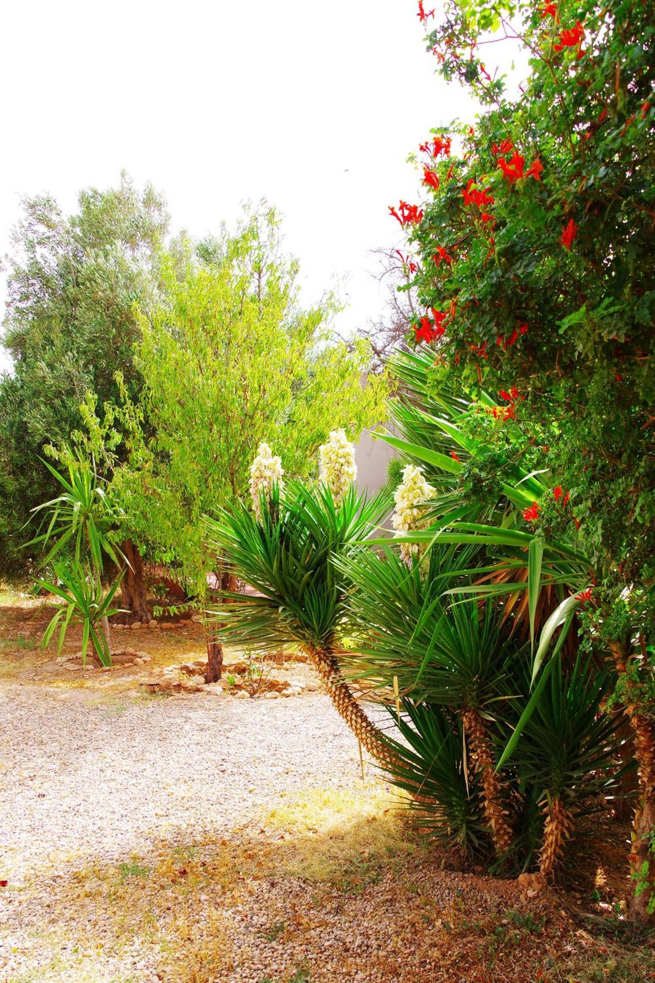 Artgana Lodge Essaouira Exteriör bild